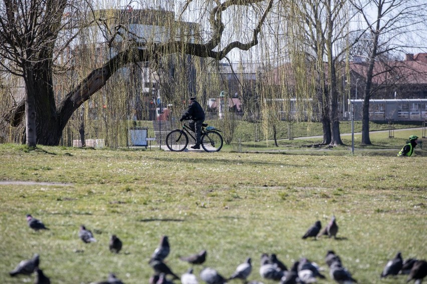 10 tys. zł mandatu za jazdę na rowerze...