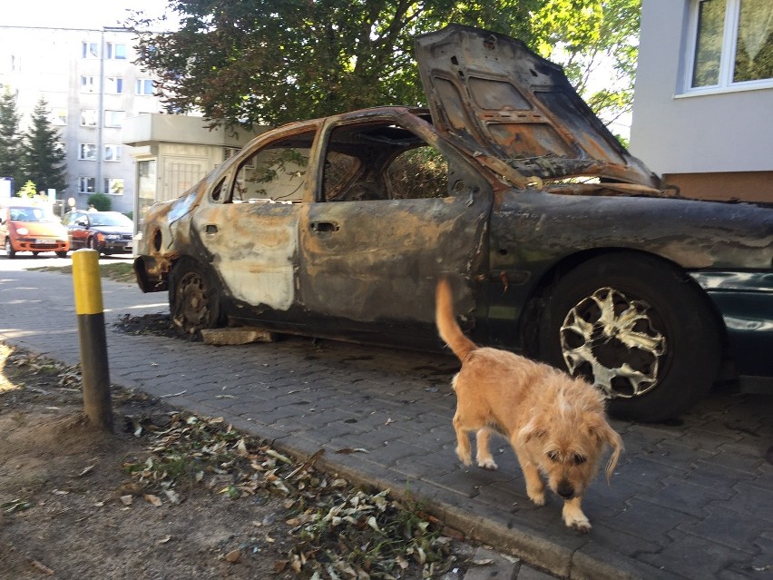 Spalony wrak auta przy ul. Bezpiecznej