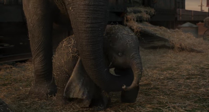"Dumbo". Zwiastun aktorskiej wersji bajki Disneya według Tima Burtona. Będzie mroczna i smutna?