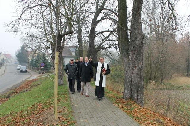 Alejka prowadzi między 100-letnimi kasztanowcami, do których dosadzono 20 młodych drzewek.