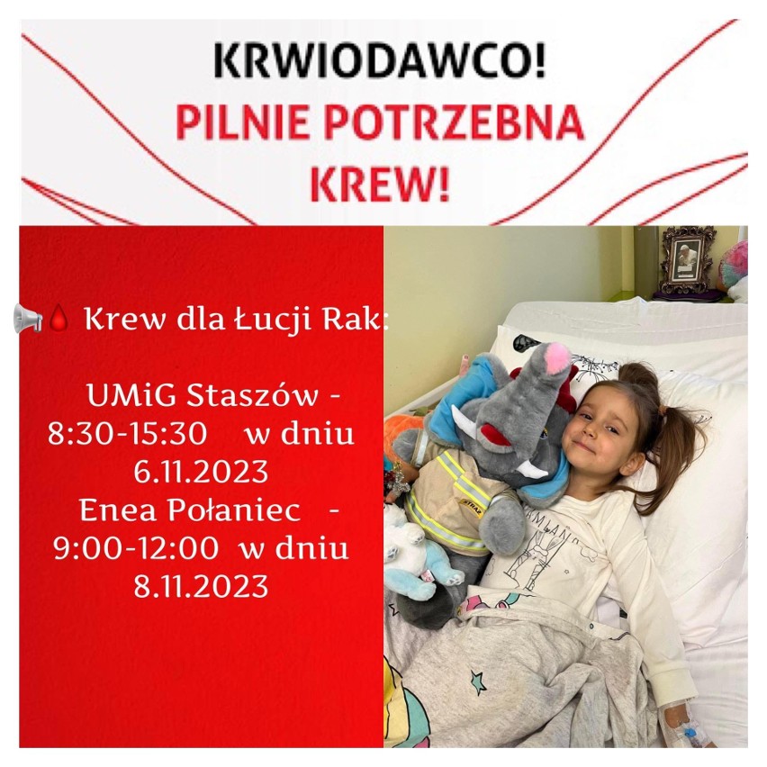 Pilnie potrzebna krew dla małej Łucji! Dziewczynka walczy z białaczką i jest leczona w Wojewódzkim Szpitalu Zespolonym w Kielcach