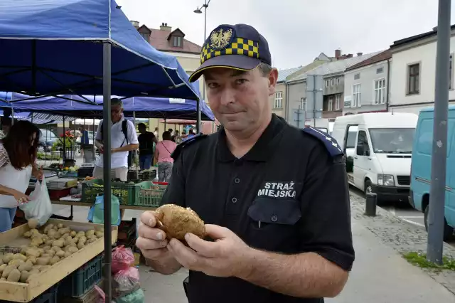 t. Jeleń: na Dworzysko przyjeżdżają tylko doświadczeni grzybiarze. W ostatnich 20 latach nie trafił się ani jeden „trujak”