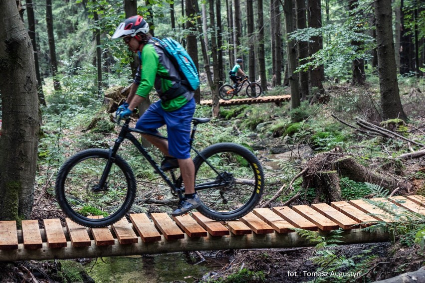 Singletrack Glacensis to najdłuższa sieć górskich tras...