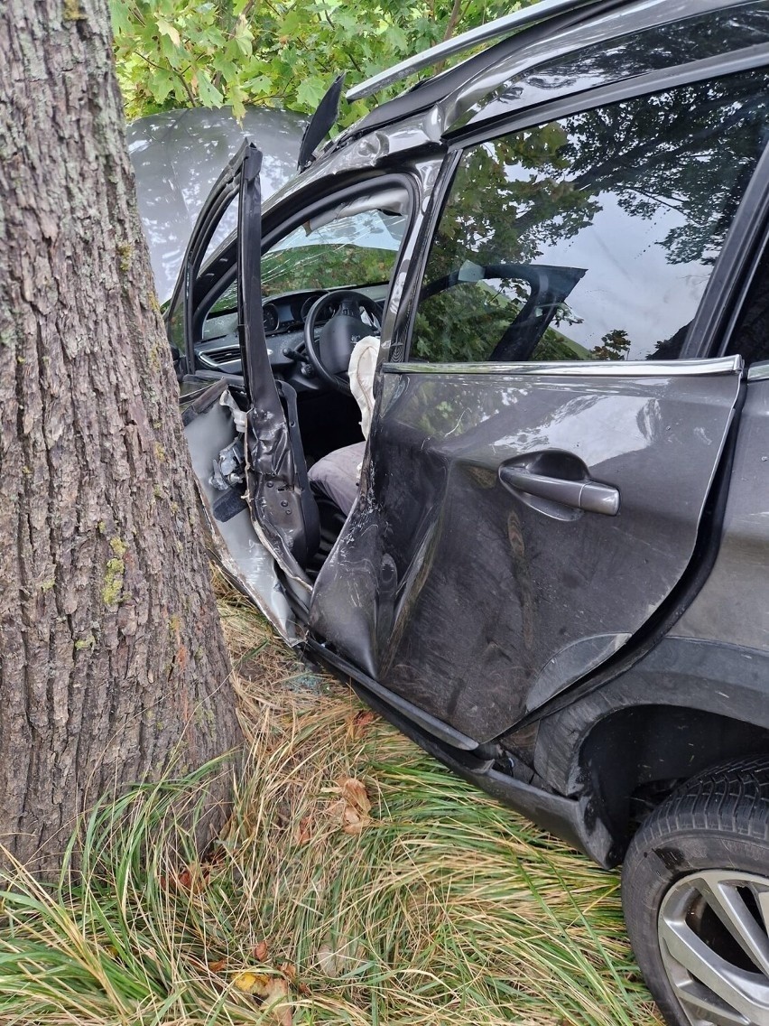 Samochód osobowy uderzył w drzewo.