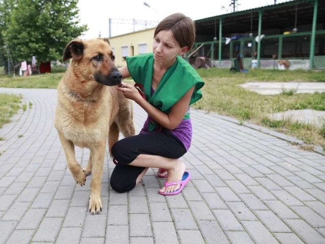 - Zoja jest spokojna, ale bardzo tęskni za właścicielką - mówi pani Asia, wolontariuszka ze schroniska.