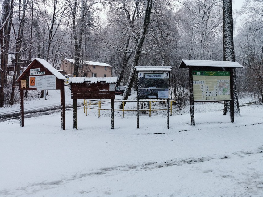Opady śniegu w Słupsku. Lasek Północny w zimowej odsłonie [ZDJĘCIA, WIDEO]