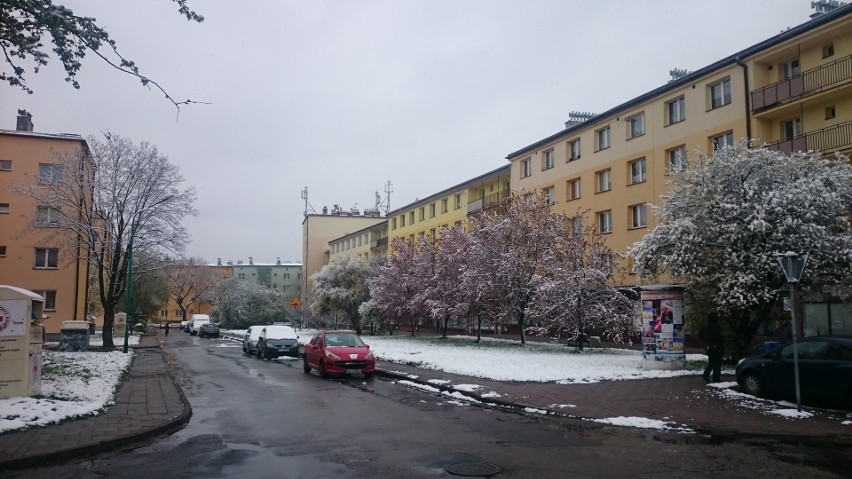 Zima wiosną w Siemianowicach Śląskich 19.04.2017 ZDJĘCIA