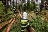 Strażacy do nocy usuwali skutki nawałnicy, dziś też nie mają odpoczynku [ZDJĘCIA]