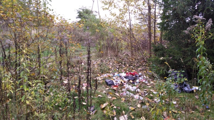 Śmieciowy problem przy ul. Topolowej w Koszalinie [ZDJĘCIA]