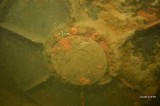 Największy w Polsce niewybuch znaleziono w Kanale Piastowskim. To bomba "Tallboy" z II wojny światowej 