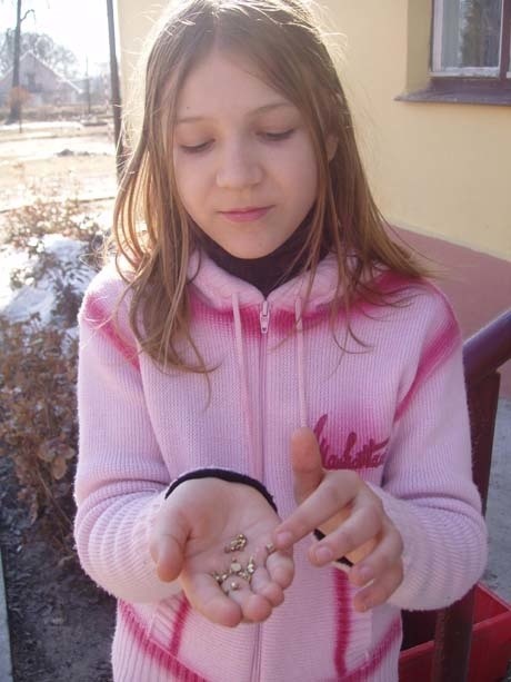 Marta z V klasy Szkoły Podstawowej w Sypitkach znalazła kilkanaście grudek cennego kruszcu tuż przy młynie