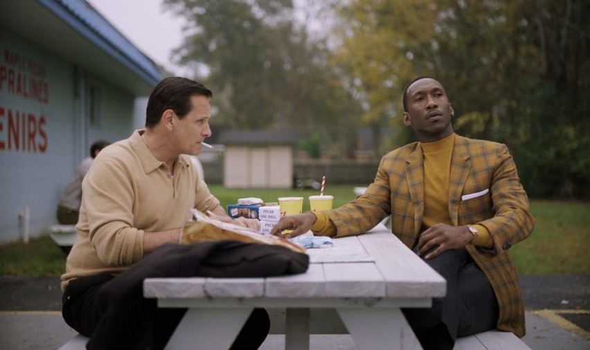 „Green book”, reż. Peter Farrelly, premiera 15 lutego 2019...