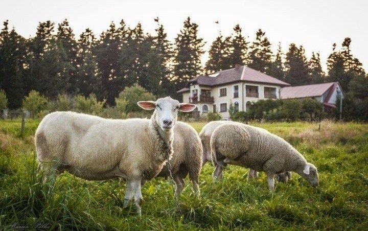 Kategoria: Chata z klimatem...