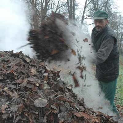 - Przyrodnicy odradzają kompostowanie liści kasztanowców, dlatego my je palimy - mówi Przemysław Bloch z muzeum