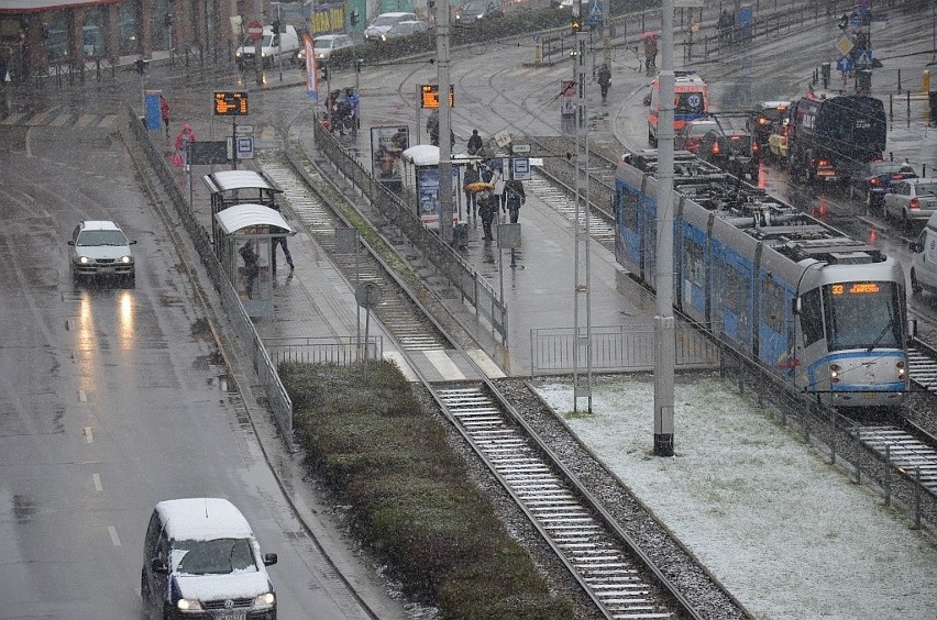 Śnieżyca we Wrocławiu. Atak zimy w mieście (FILM, ZDJĘCIA, PROGNOZA)