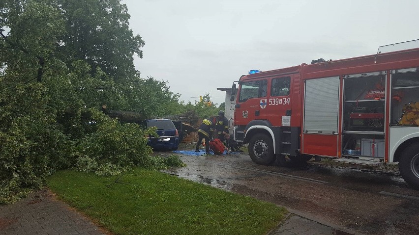 Wypadek pod Dobrzanami. Drzewo spadło na samochód