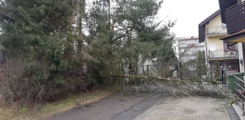 Orkan Sabina wyrządził w powiecie sporo szkód