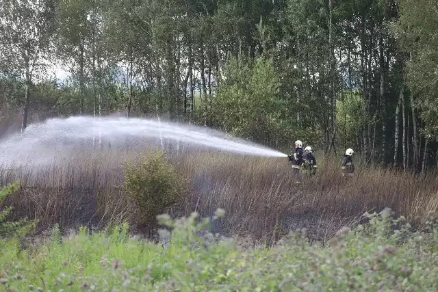 W godzinach popołudniowych przy ulicy Strykowskiej w Łodzi doszło do pożaru. WIĘCEJ INFORMACJI NA KOLEJNYM ZDJĘCIU