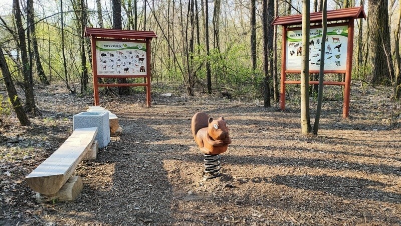 Tak wygląda dziś odnowiony Park Rozkówka w Będzinie. Warto...