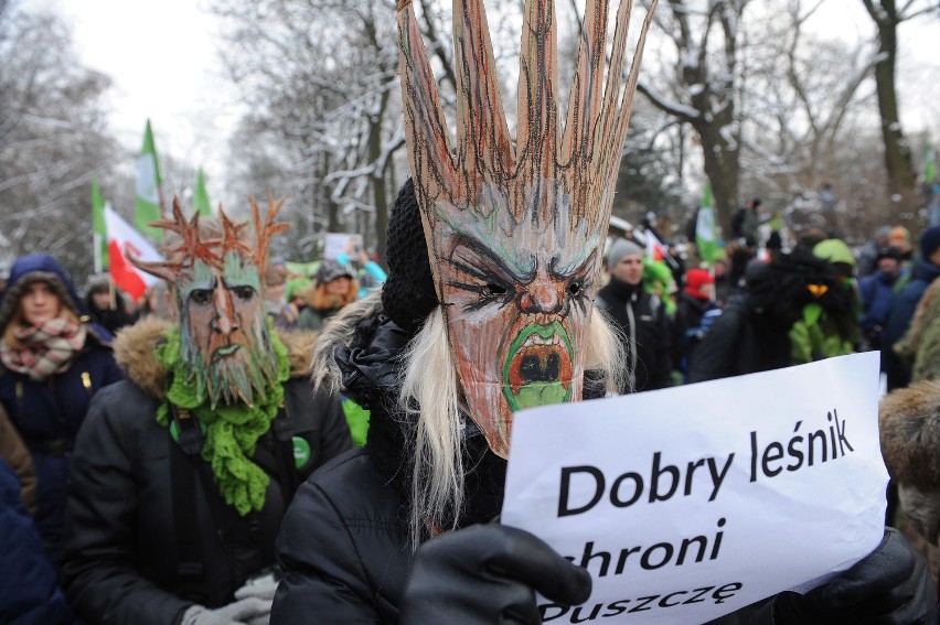 Plan wycinki drzew w Puszczy białowieskiej wywołuje...