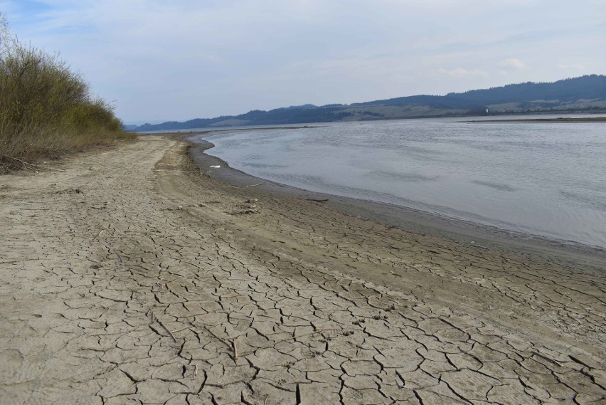 Jezioro Czorsztyńskie: coraz mniej wody, suchy brzeg, spękana ziemia