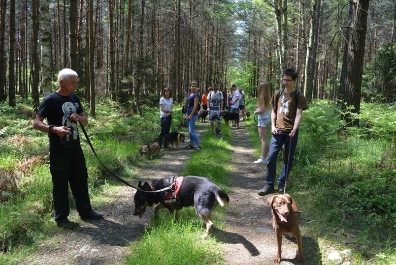 Tak było na poprzednim Dog Trekkingu w Jasieniu.