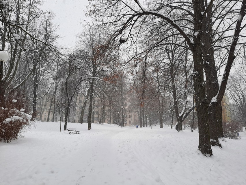 Intensywne opady śniegu w województwie lubelskim. „Przejechałem cały Lublin i nie widziałem ani jednej piaskarki. Ale zimę mamy ładną”
