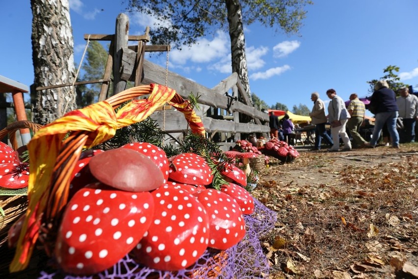 Podlaskie Muzeum Kultury Ludowej oficjalnie otwarte (zdjęcia, wideo)