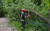 Silny wiatr na Pomorzu. Powalone drzewa i uszkodzone dachy