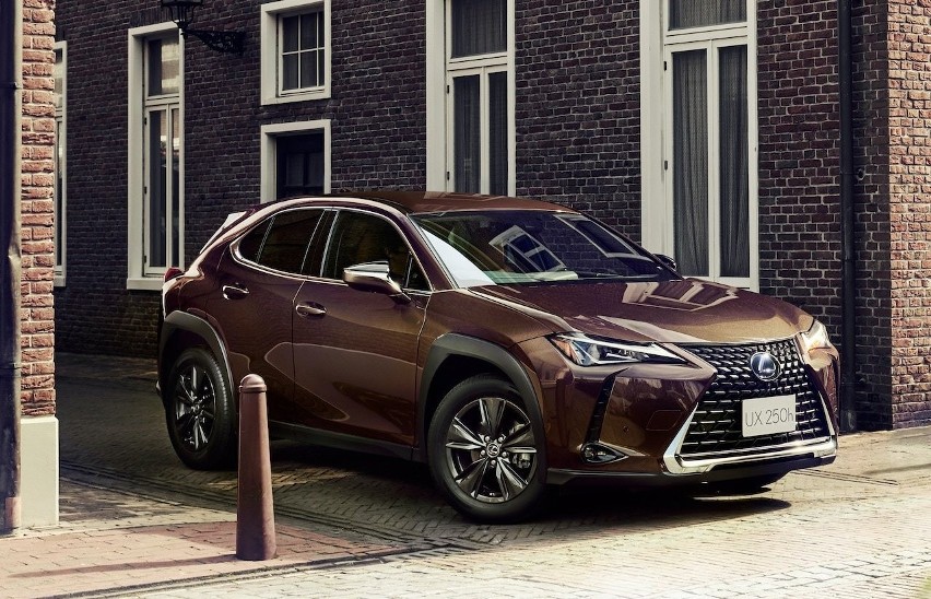 Lexus UX Brown Edition...