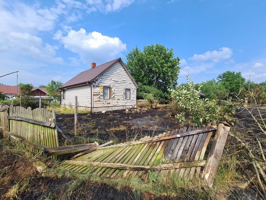 Baciuty - Kolonia. Niebezpieczny pożar traw w pobliżu zabudowań. Kilka zastępów walczyło z żywiołem [ZDJĘCIA]