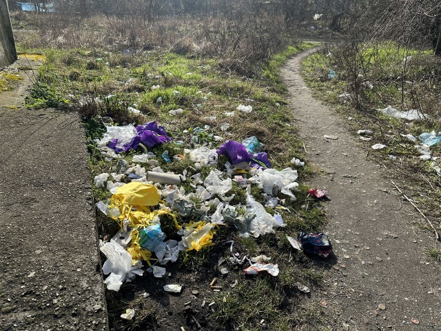 Mieszkanka Kostrzyna zwraca uwagę na śmieci, które zalegają w rejonie ul. Jana Pawła II. Tak wygląda ścieżka, łącząca tę drogę z ul. Jagiellońską. Kobieta przyznaje, że śmiecą sami mieszkańcy. Apeluje, aby się opamiętać i tego nie robić.