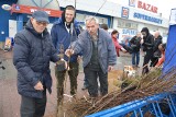 Tarnów. Rozdawaliśmy roślinki za makulaturę i nakrętki