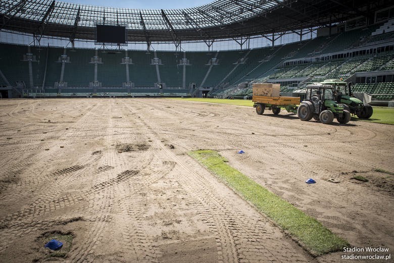 Murawa na boisku Stadionu Wrocław była wymieniana w 2016 r.