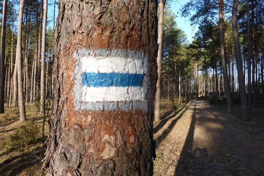 Urząd Miejski w Wasilkowie we współpracy z PTTK odnowił...