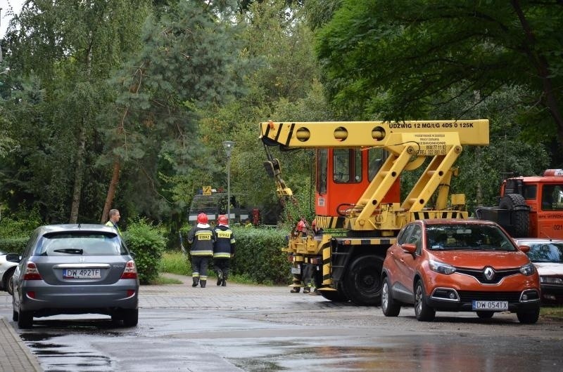 Półtonowa bomba lotnicza na Popowicach. 250 osób ewakuowanych (ZDJĘCIA)