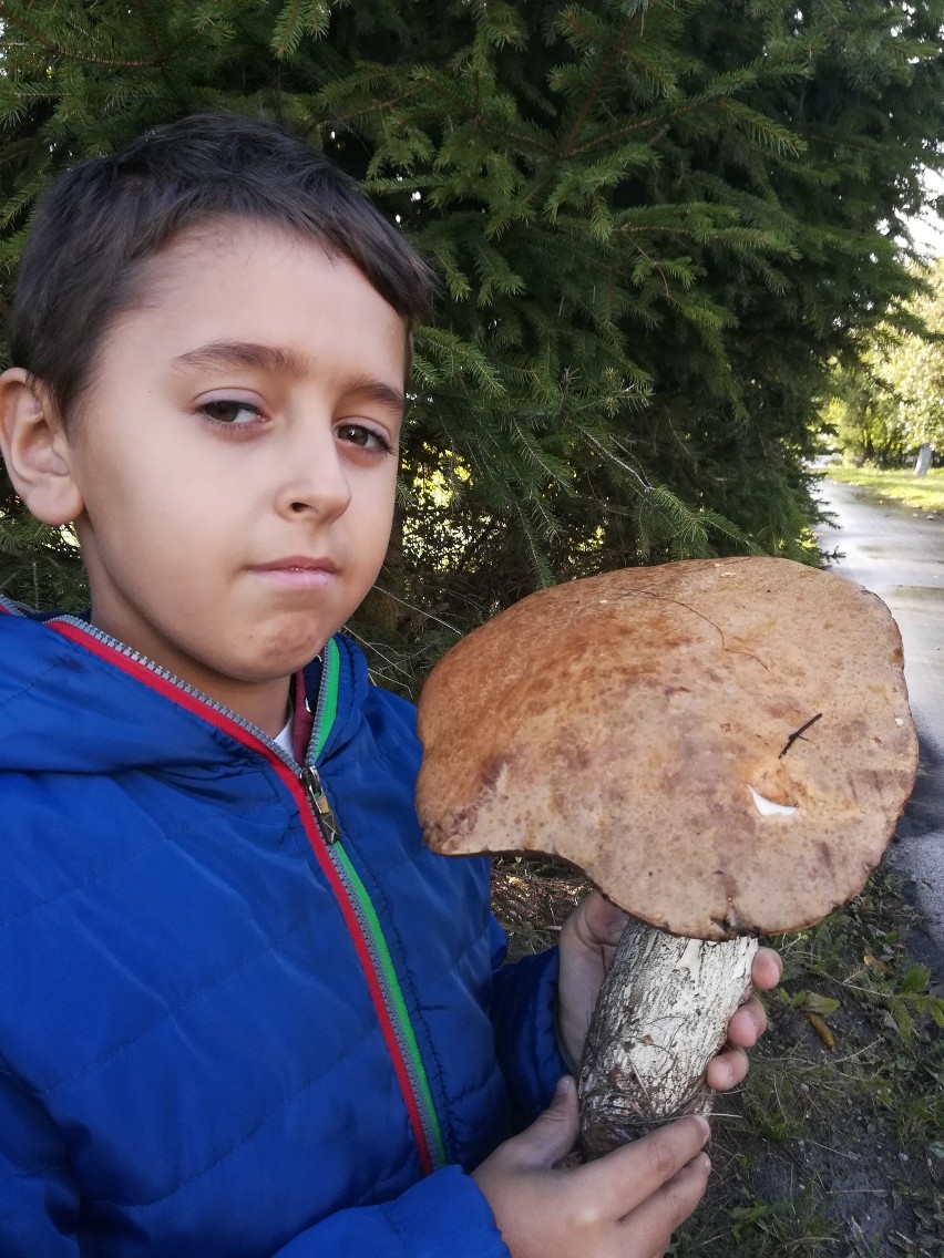 W gminie Czernikowo w pobliskim lesie mój 9-letni syn...