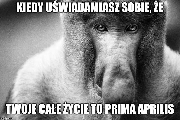 Prima Aprilis oczami internautów. Zobacz memy i zadbaj o...