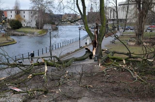 Wichura złamane drzewoWichura złamane drzewo na ul. Mostowej