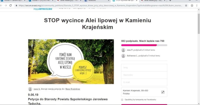 Akcja zbierania podpisów pod petycją jest bardzo dynamiczna. Przeciwników wycinki jest już prawie 600. Ta liczba wzrasta z minuty na minutę