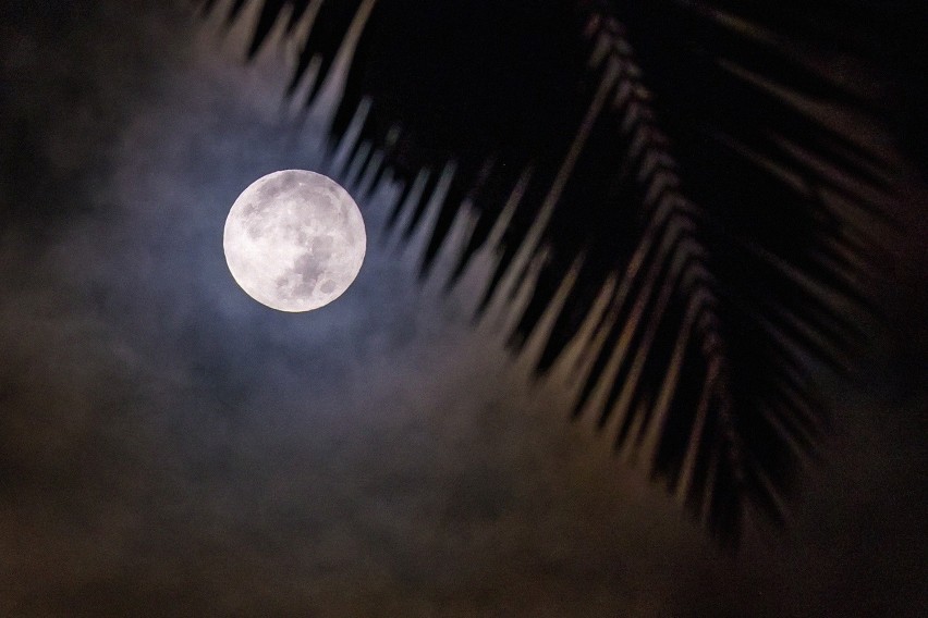 Pełnia księżyca widziana w Honolulu na Hawajach