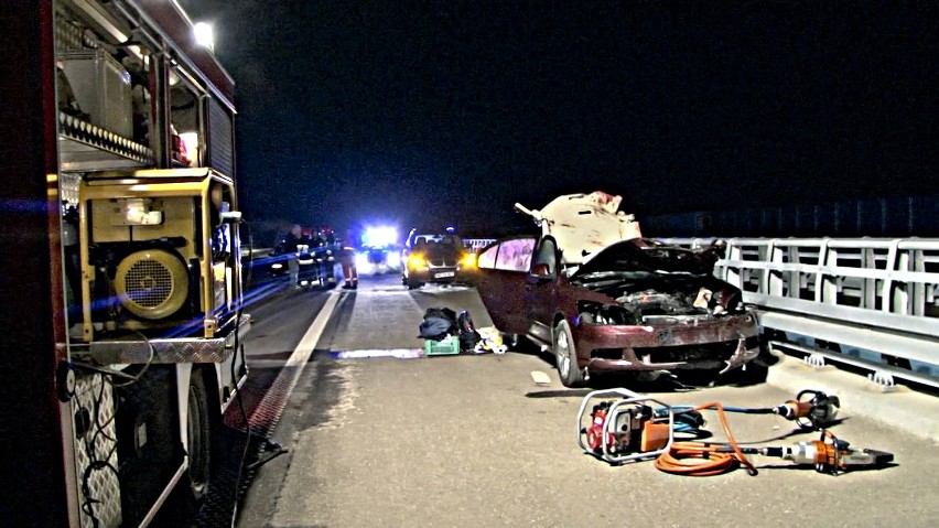 Tragiczny wypadek na autostradzie. Zginął po zderzeniu z łosiem [ZDJĘCIA+FILM]