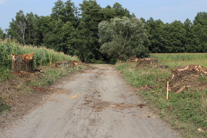 Czyżew. Rekordowa liczba inwestycji w gminie. Na same drogi gmina wyda 15 mln zł (zdjęcia)