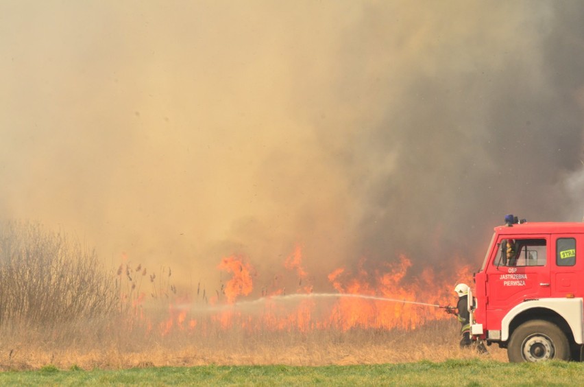 Pożar w Biebrzańskim Parku Narodowym