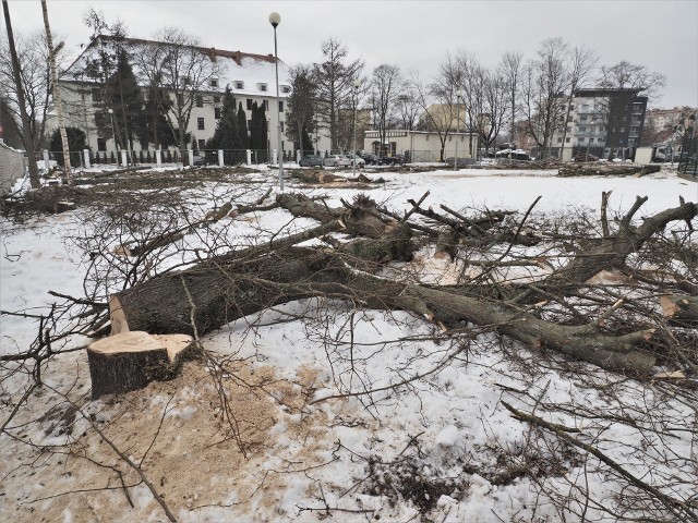 Teren przy ulicy Zwycięstwa ogołocono z niewielkiego zagajnika, co od razu wywołało lawinę komentarzy. W tym miejscu niedługo ma rozpocząć się budowa obiektu sakralnego.