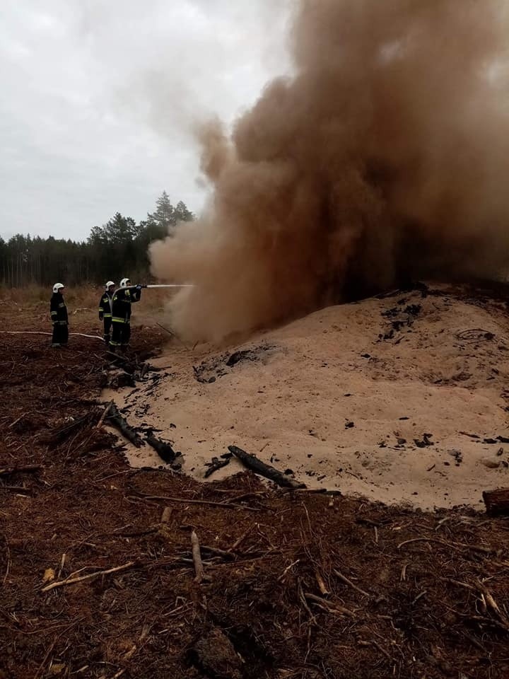 Pożar trocin w lesie koło Kliszna [zdjęcia]   