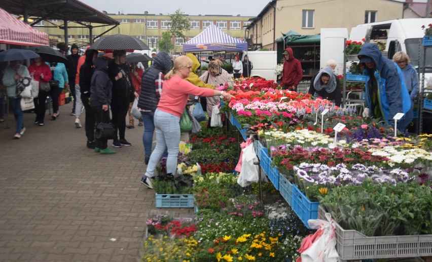 Niedziela 22 maja na targowisku w Wierzbicy. Ogromny ruch. Bardzo dużo handlujących. Co można kupić? Zobacz zdjęcia