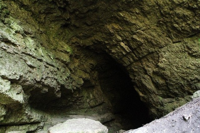 Odkryta jaskinia ma podobny charakter do tej w Skorocicach (na zdjęciu).