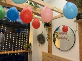 Kawiarnia Botanica w Chorzowie świętuje swoje ósme urodziny. Są niespodzianki dla klientów