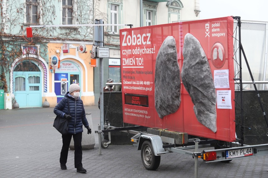 Tak, po 10 dniach wyglądają, początkowo białe, płuca w...